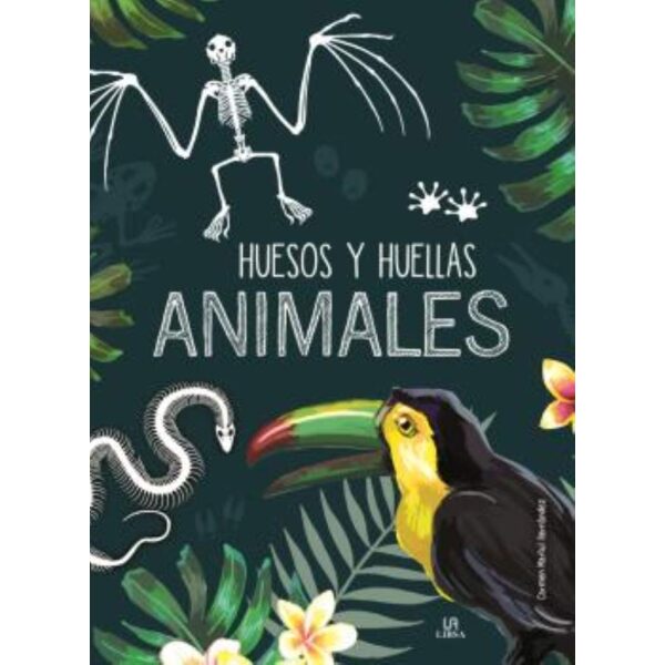 Huesos y huellas animales