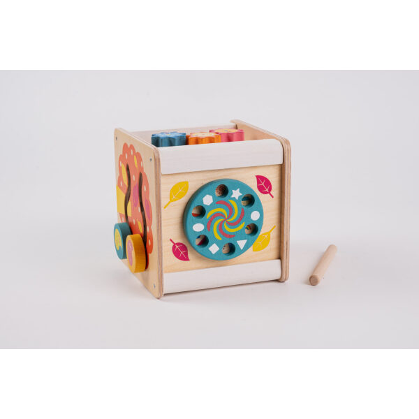 Cubo de Actividades